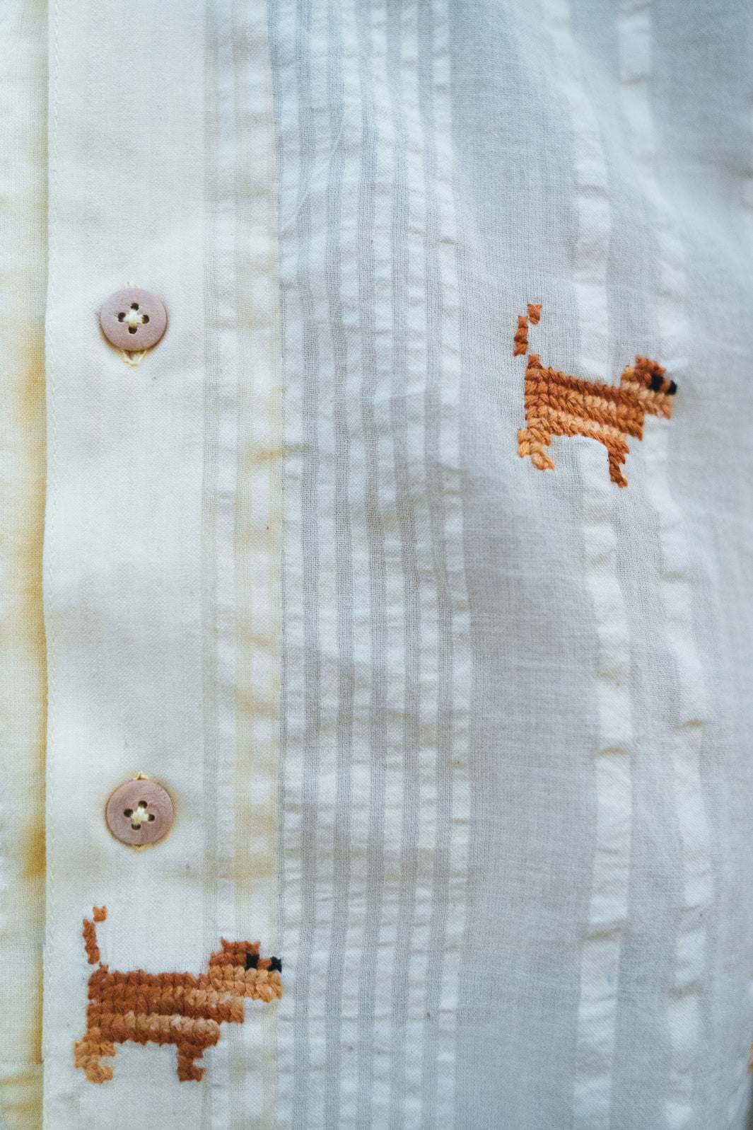PAW & THREAD SHIRT