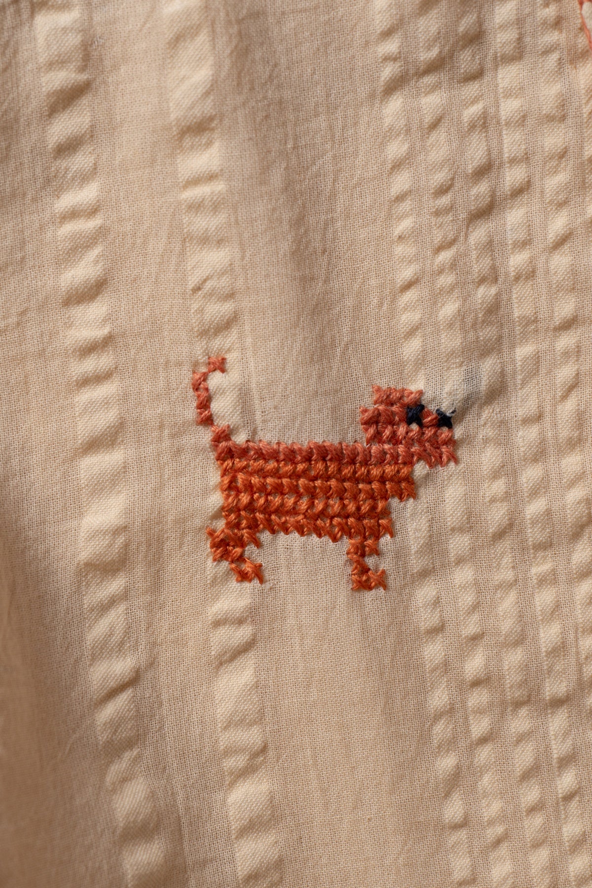PAW & THREAD SHIRT